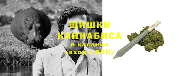 тгк Вяземский