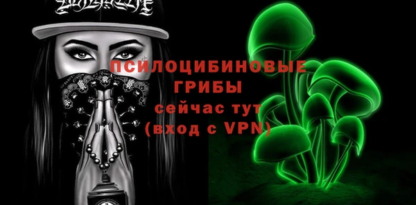 тгк Вяземский