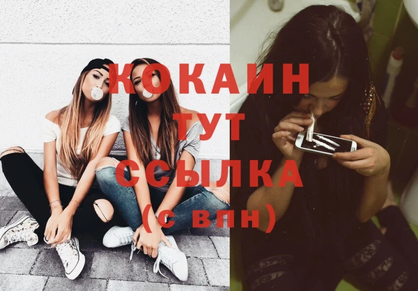 тгк Вяземский