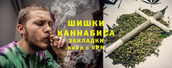 тгк Вяземский